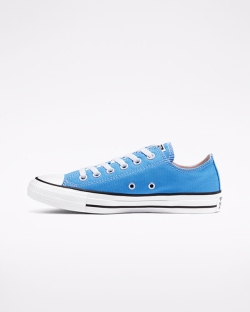 Converse Seasonal Color Chuck Taylor All Star Női Rövidszárú Fehér | QDMGCSX-HU